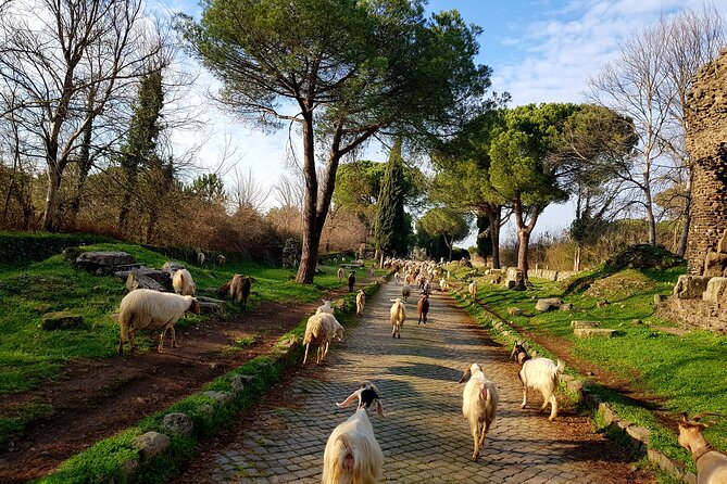 Ancient Appian Way and Roman Countryside E-Bike Tour - Tour Location