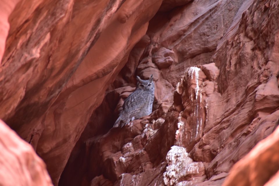 Antelope Canyon: Owl Canyon Guided Hiking Tour - Navajo Cultural Experience