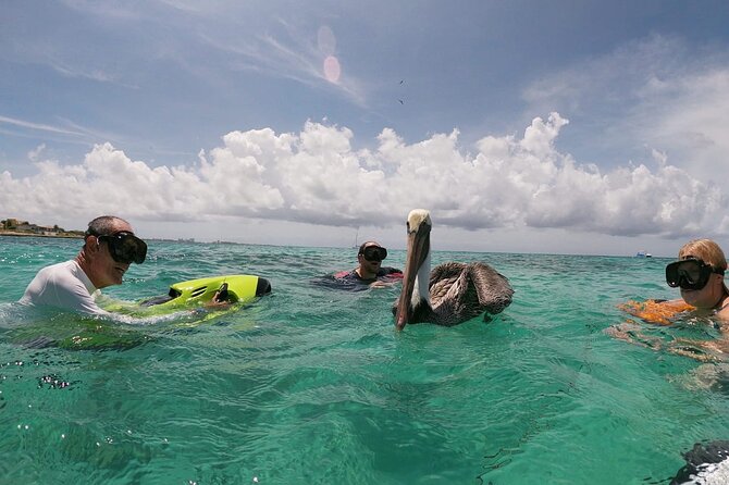 Antilla Shipwreck Seabob Tour - Tour Pickup and Drop-off Service