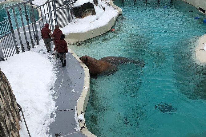 Aquarium Du Quebec: a Playground Overflowing With Life! - Accessible and Convenient