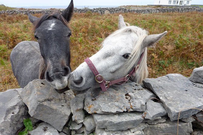 Aran Islands Scenic Flight and Galway Rail Tour From Dublin - Flight to Inis Mor