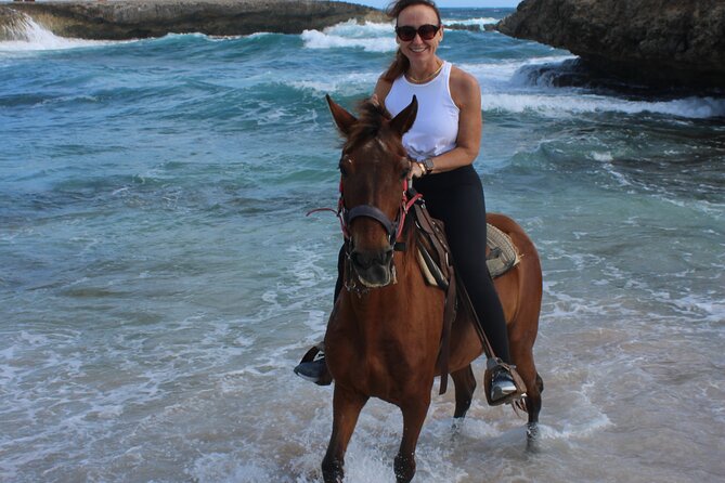 Arubas Northern Coast Horseback Adventure - Meeting Point and Transportation