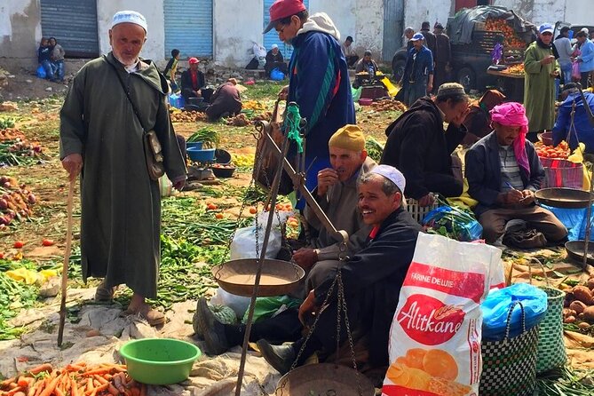 Atlas Mountains and Berber Villages & Waterfalls With Camel Ride - Fitness Level and Group Size