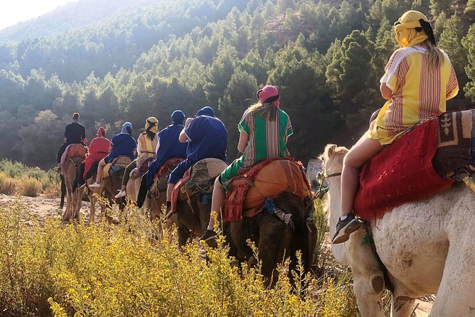 Atlas Mountains and Three Valleys & Waterfalls - Camel Ride Day Trip Marrakech - Experiencing Local Berber Culture