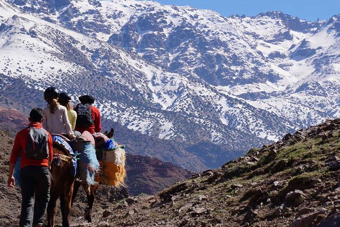 Atlas Mountains Day Tour With Camel Ride - Visiting Imlil Village