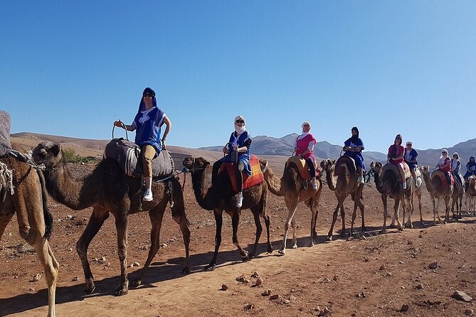 Atlas Mountains & Original 3 Valleys, Imlil Day Trip With Camel Ride, Marrakech - Pickup and Meeting Point Details