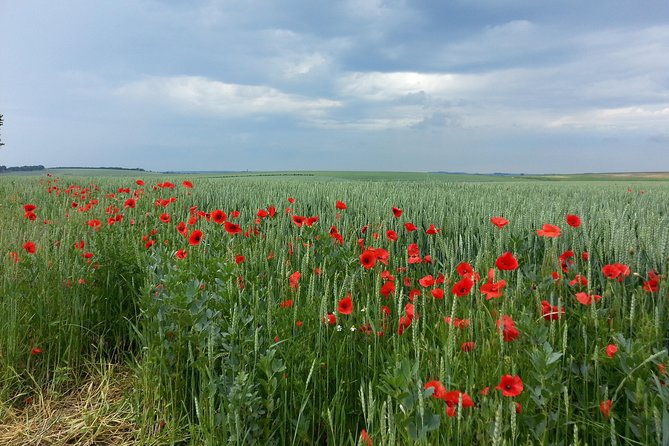 Australian Private Somme Tour Including Sir John Monash Centre - Tour Details and Scheduling