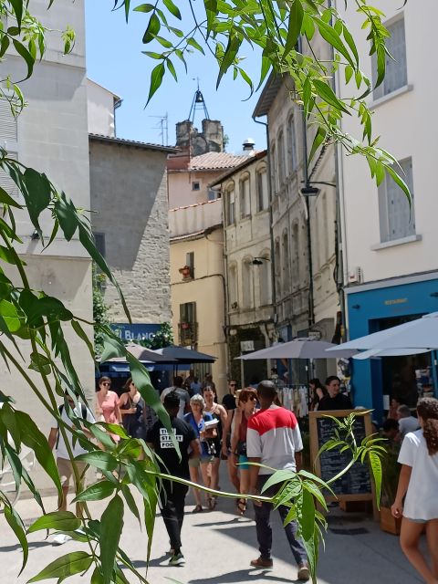 Avignon : Half-Day Walking Tour With Private Guide - Included in Tour