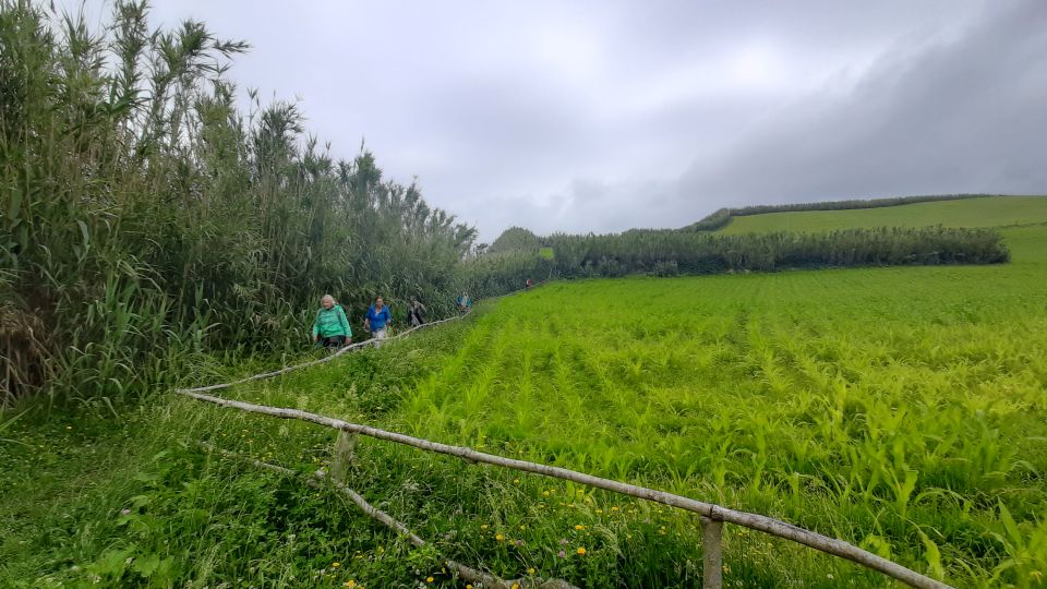 Azores: São Miguel Hike and Snorkeling With a Local - Booking and Availability