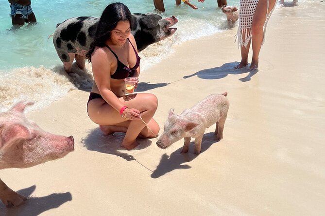 Bahamas Swimming Pigs Experience on Rose Island - Medical Requirements