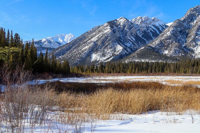 Banff Cave and Hot Springs Self-Guided Walking Tour - Frequently Asked Questions