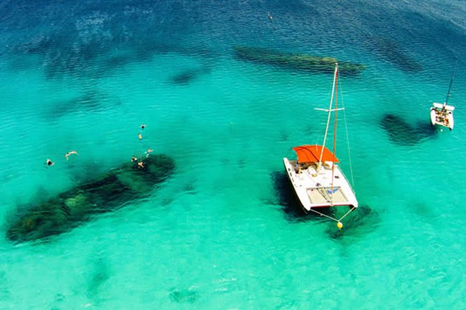 Barbados Catamaran Turtle Snorkel With Open Bar - Convenient Hotel/Cruise Ship Pickup