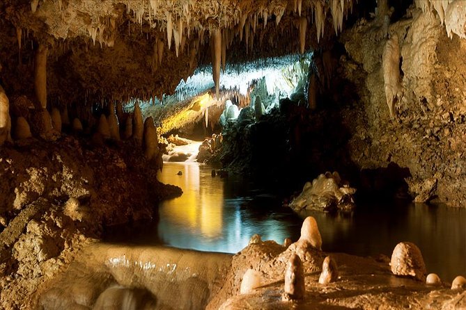 Barbados Harrisons Cave and St Nicolas Abbey Tour - Stunning Views and Photos