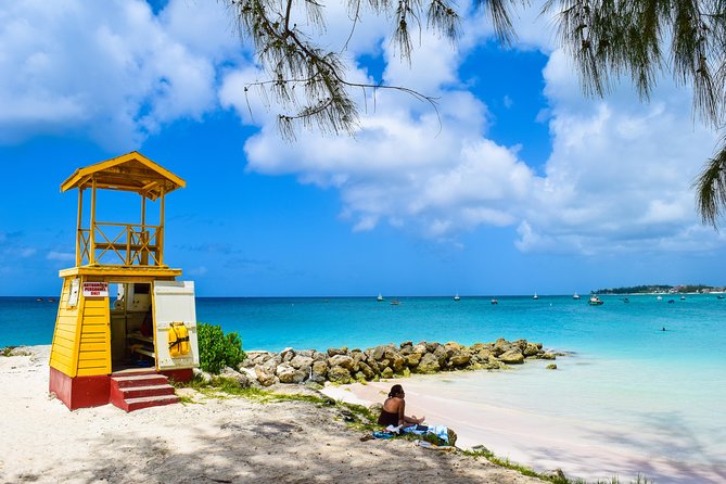 Barbados Small-Group or Private Coastal Sightseeing Tour - Food and Beverages