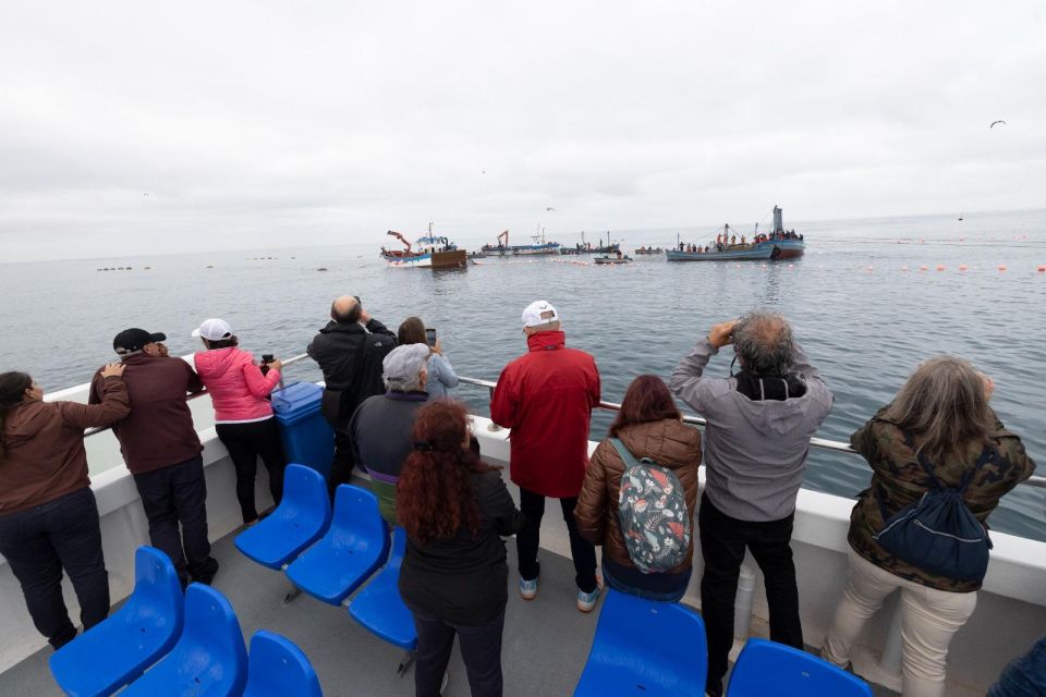 Barbate: Boat Tour to the Almadraba of Conil (Tuna Fishing) - Unloading the Catch