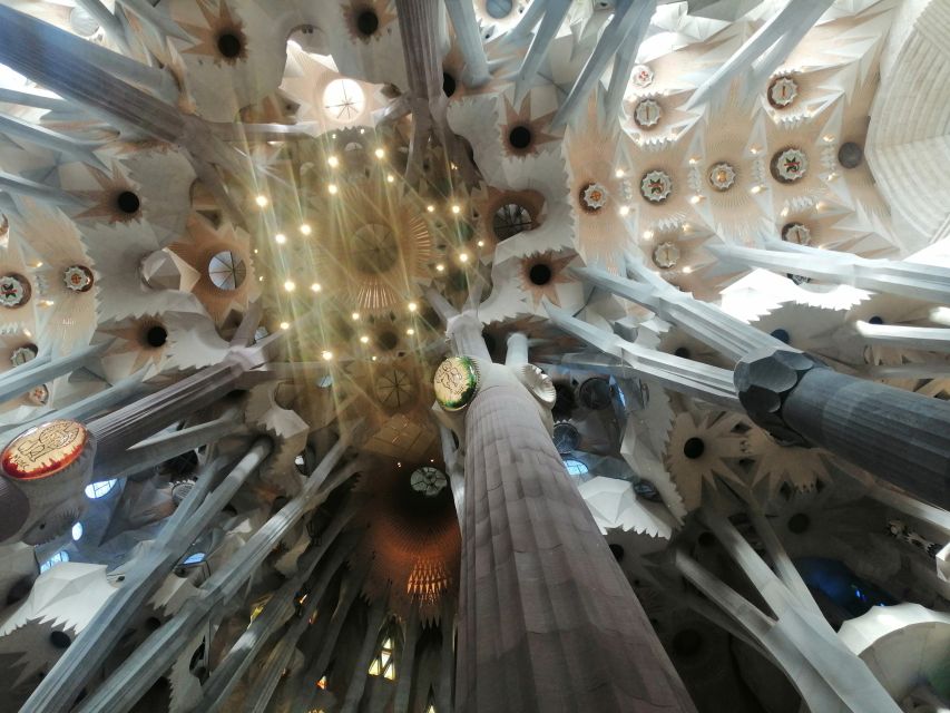 Barcelona: Sagrada Família Tour With Optional Tower Access - Accessibility Information