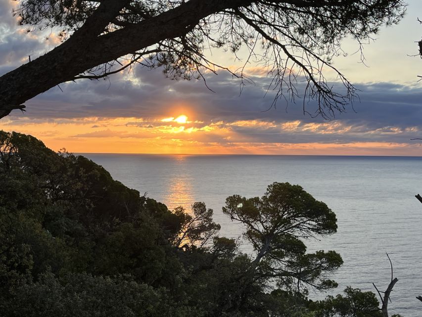 Barcelona: Tossa De Mar, Costa Brava Boat & Coastal Hike - Customer Ratings and Reviews