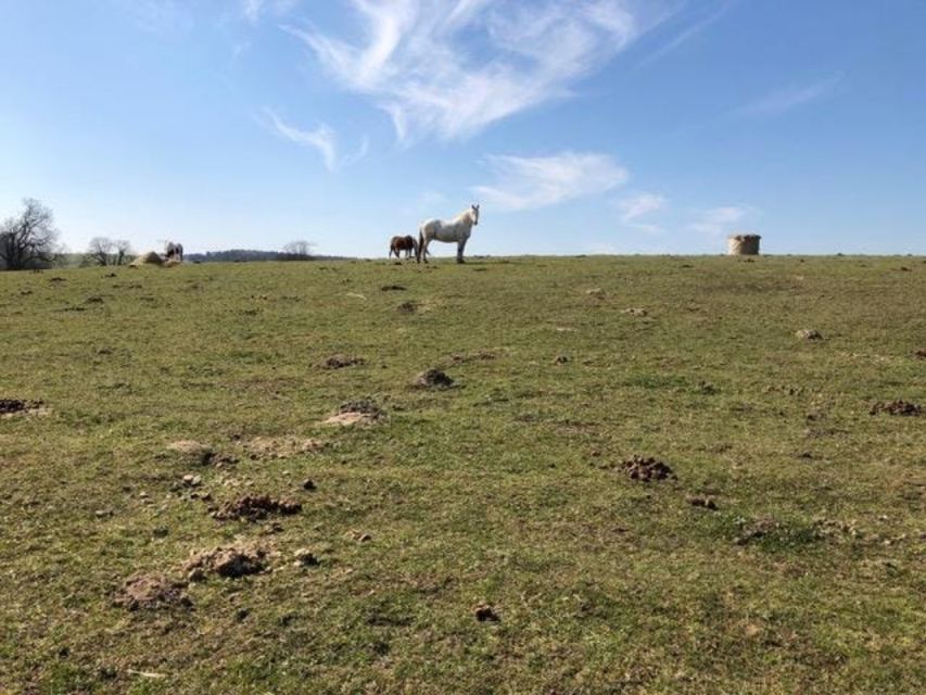 Barnim: Countryside Culinary Tour by Bike With Farm Visit - Organic Lunch at the Farm