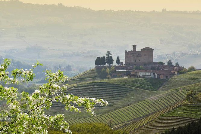 Barolo Wine and Food Tasting at Piedmont Region Winery - Local Cheeses and Charcuterie Pairings