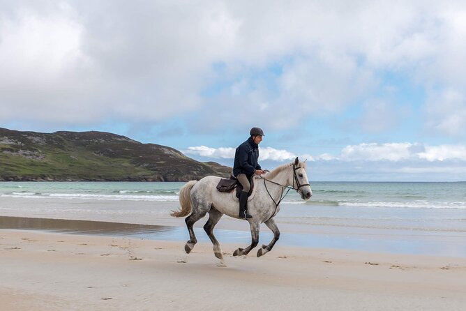 Beach & Countryside Horse Riding Outside Westport. Guided. 1 Hour - Directions and Meeting Point