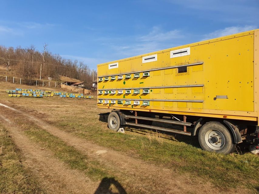 Bees in Romania - Private Beekeeping Lesson and Local Lunch - Honey and Hive Products