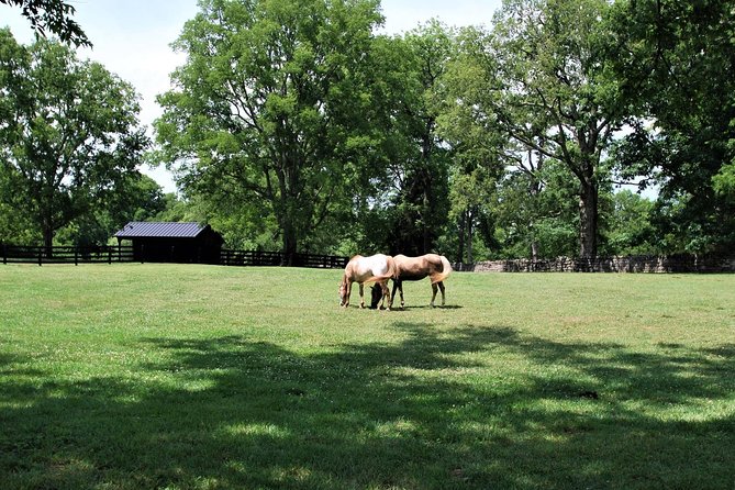 Belle Meade Guided Mansion Tour With Complimentary Wine Tasting - Booking and Cancellation Policy