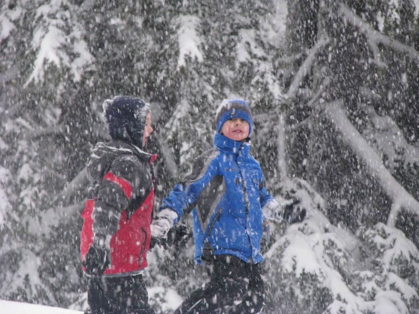 Bend: Half-Day Snowshoe Tour in the Cascade Mountain Range - Snowshoeing in the Wilderness