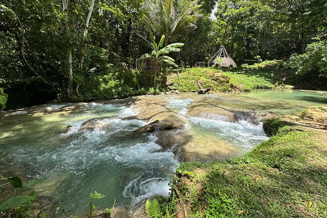 Benta River & Falls Private Tour From Montego Bay/Negril - Rope Swing Experience