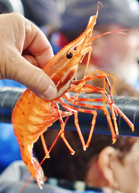 Bering Sea Crab Fishermens Tour - Additional Information