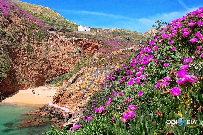 Berlengas Catamaran Tour - Additional Information