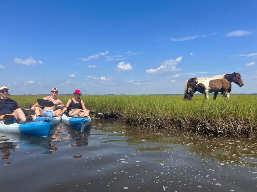 Berlin, MD: Full-, Half, or Quarter-Day Kayak Rental - Kayak Stability and Comfort