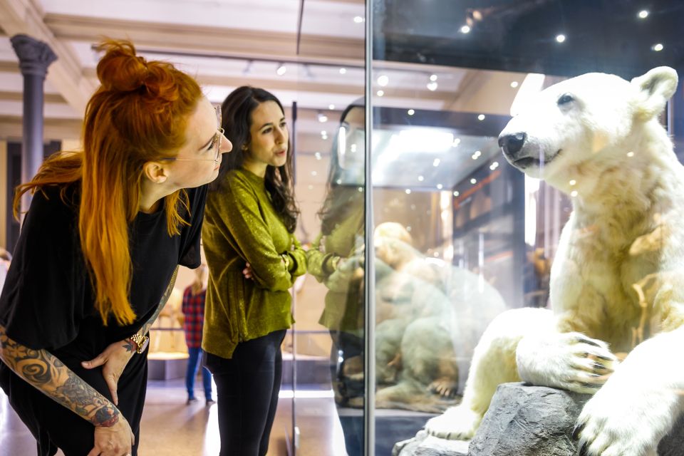 Berlin: Natural History Museum Entrance Ticket - Guided Tours and Workshops