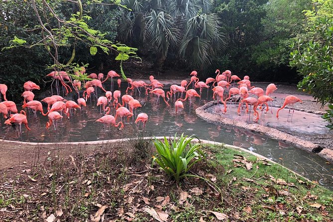 Bermuda Aquarium and Crystal Caves Admission - Accessibility and Group Size