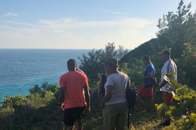 Bermuda Railway Trail and Off The Beaten Path Walking Experience - Discovering Bermudas Topography