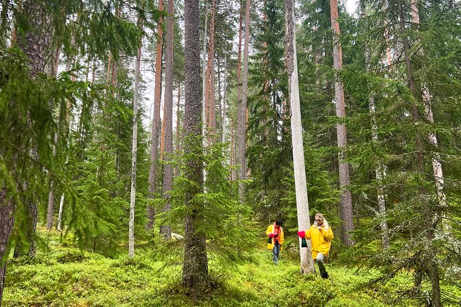 Berry Picking in a National Park - Pickup and Meeting Point