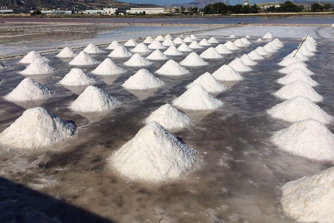 Best Excursion in Western Sicily to Erice, Trapani Salt Flats From Palermo - About the Tour Operator