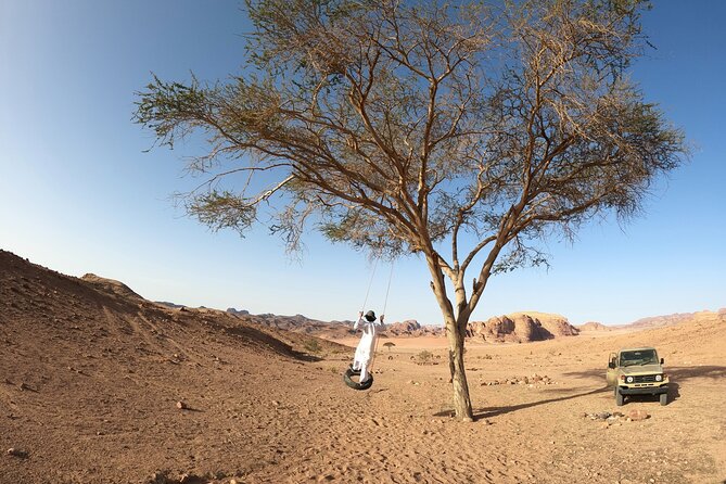 Best Wadi Rum Tour - Private Guide - Private Transportation