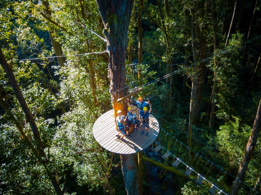 Big Island: 3-Hour Kohala Canopy Zipline Adventure - Off-Road Driving in 4x4