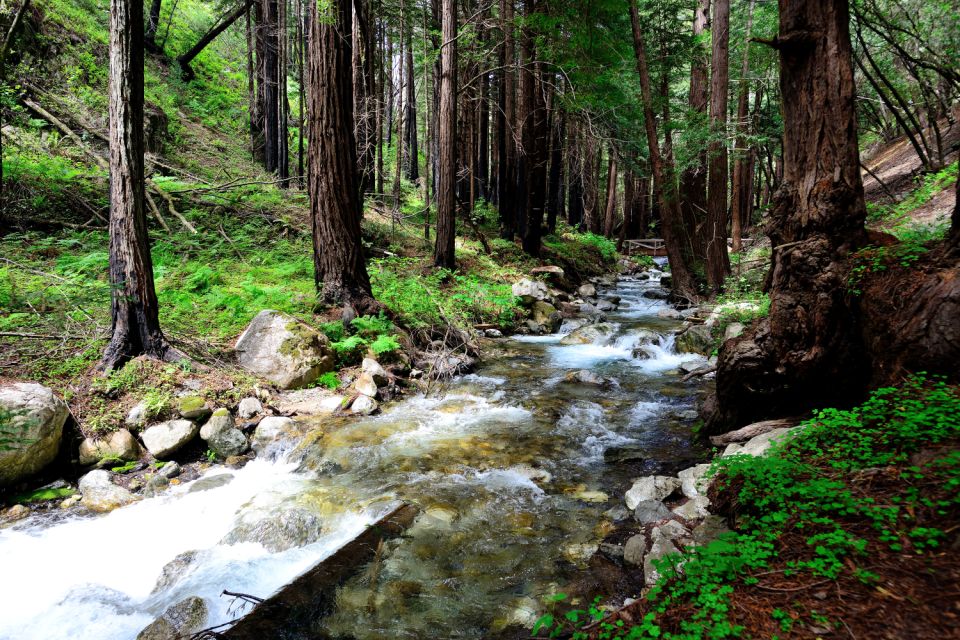 Big Sur & 17-Mile Self-Guided Audio Driving Tour - Meeting Points and Access