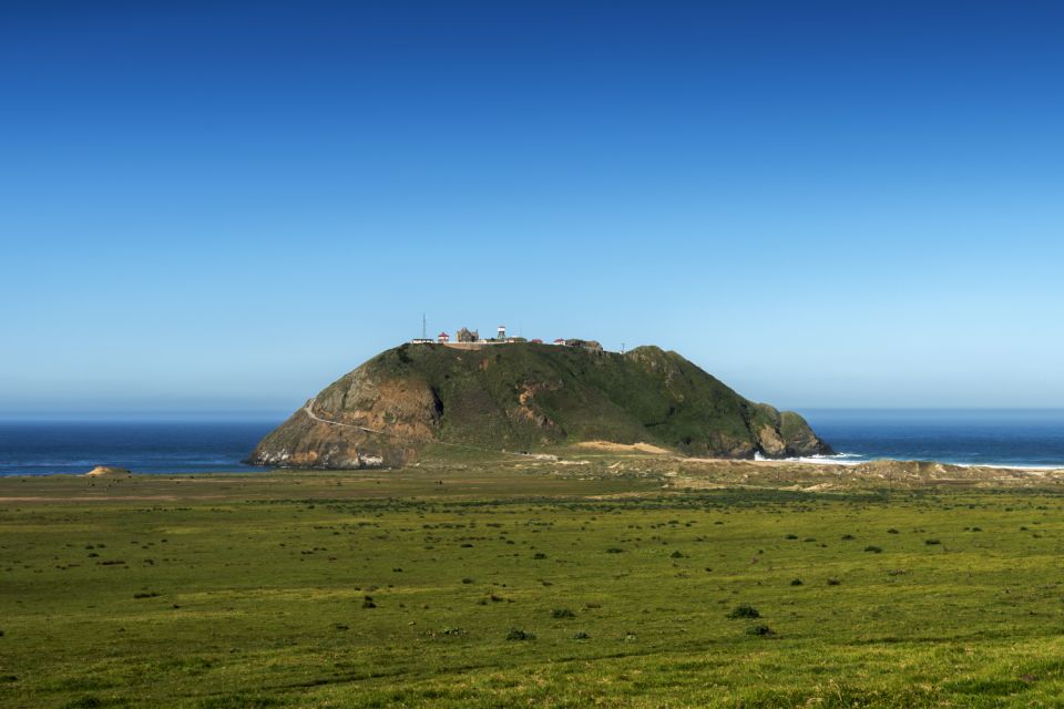 Big Sur: Pacific Coast Highway Scenic Driving Tour - Customer Reviews and Ratings