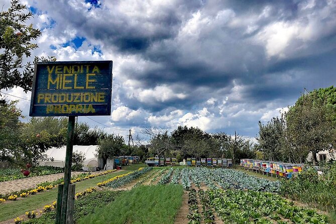 Bike Tour With Honey and Artichokes on Sant'erasmo Island - Inclusions and Meeting Point