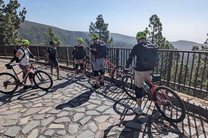 Biking Adventure From Teide to Sea With Wine and Cheese Tasting - Cycling Route and Terrain