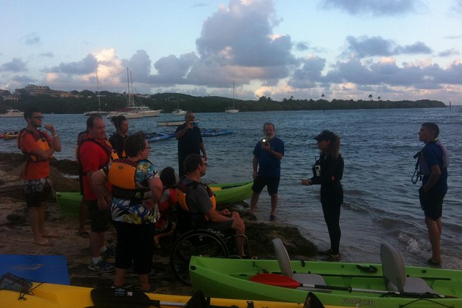 Bio Bay Night Kayaking With Transport From San Juan Area - Safety Precautions