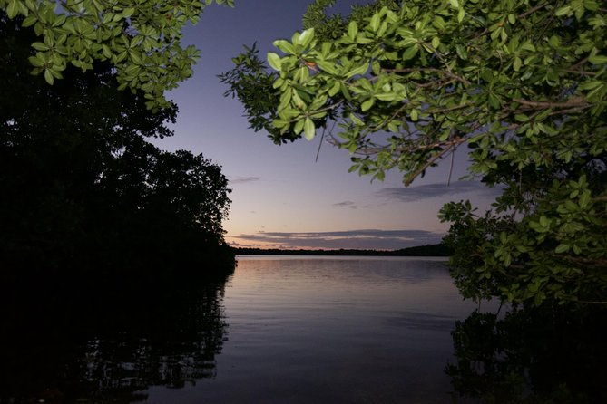 Bioluminescent Bay Kayak Adventure Tour From San Juan - Tour Exclusions