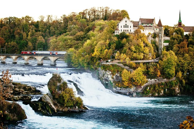 Black Forest and Rhine Falls Day Trip From Zurich - Rhine Falls Experience