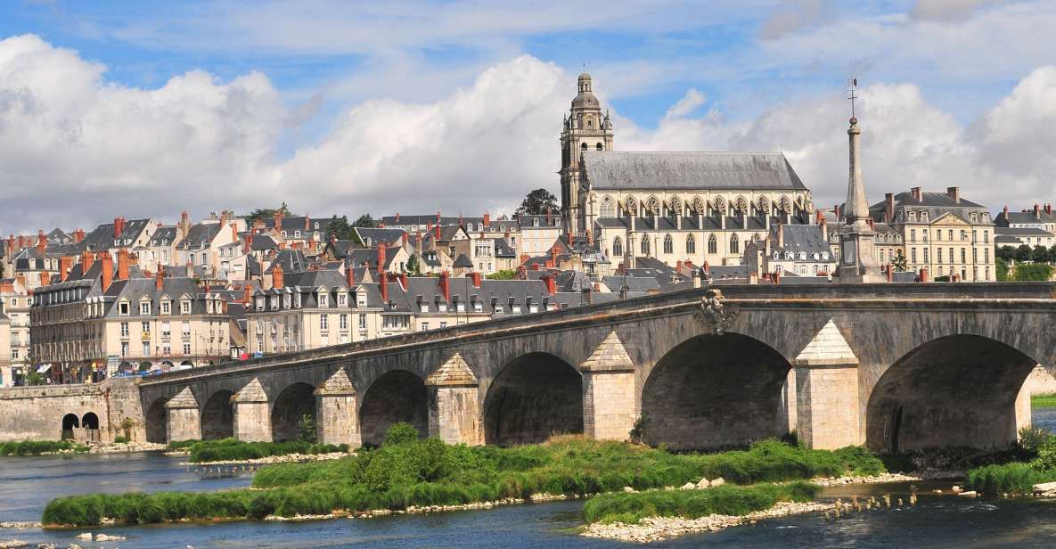 Blois: Private Tour of Blois Castle With Entry Tickets - Suitability for Mobility-Impaired Visitors