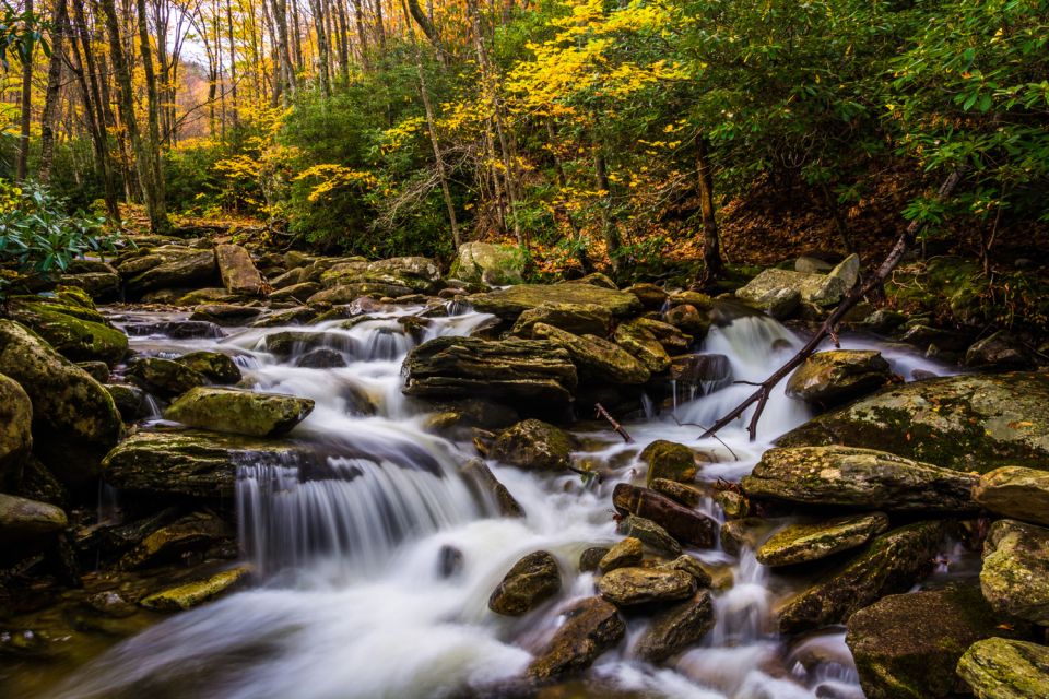 Blue Ridge Parkway – Driving Audio Tour (Roanoke ↔ Afton) - Uncovering the Big Witch Overlook