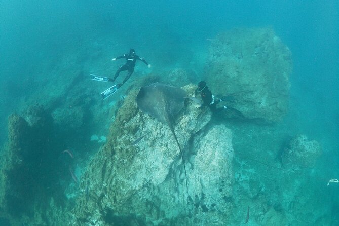 Boat Excursion to Visit Underwater Lava Tongues - Accessibility Information