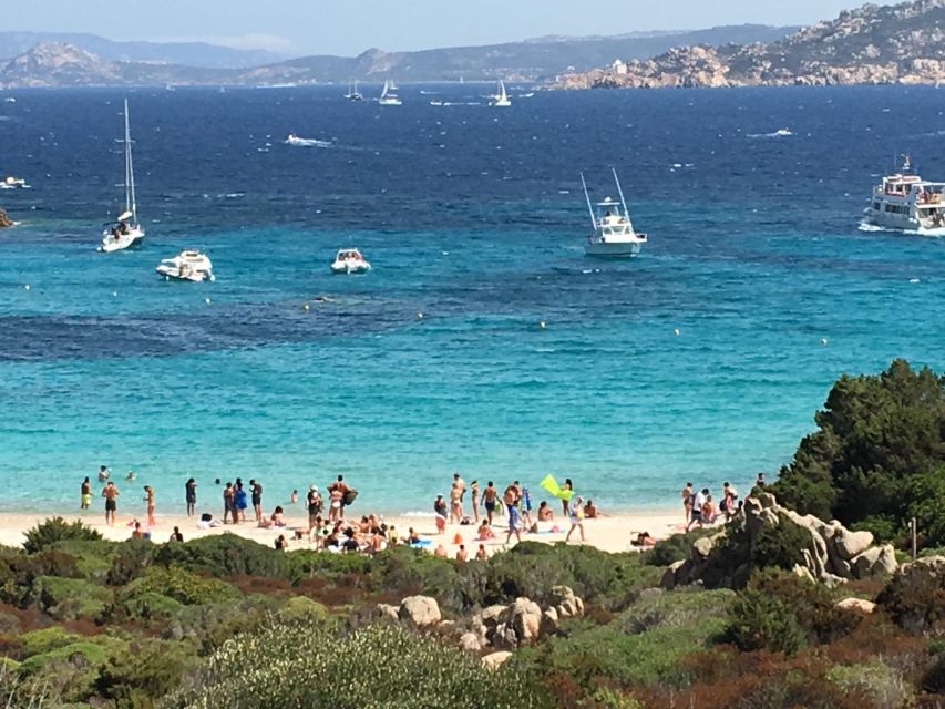 Boat Rental for the Maddalena Archipelago or Corsica - Booking Process