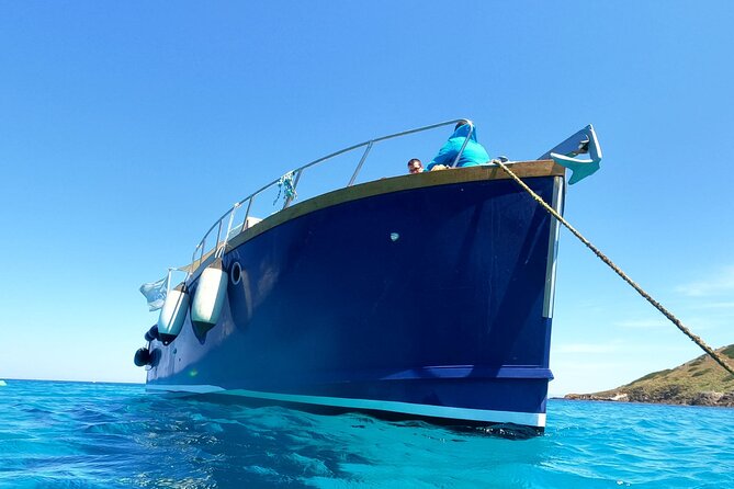 Boat Trip to Asinara With Lunch in Stintino - Unique Features of Asinara